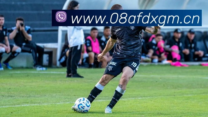 App Interface Preview